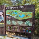 문경새재 생태미로공원 이미지