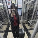다나른다