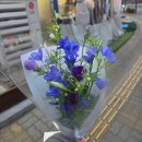 블룸무르꽃집 | 소사벌 꽃집 블룸무르 후기 선물용 꽃다발로 고르기 좋은 평택 꽃집