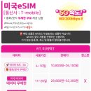 연동타운약국 | 미국 여행 아이폰 esim 추천 무제한 현지 번호 제공 이심 후기