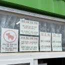 삼달리-2 | 겨울 제주도 볼거리 동백꽃 | 삼달리 꽃밭에서 | 내 돈 내산