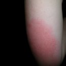 수봉농장 이미지