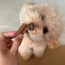 에이케이사이언스 이미지