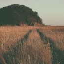 거전마을 이미지