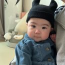 나라어린이집 | 아기 어린이집 시간제 보육 신청 , 결제 방법 / 준비물