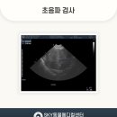 용인죽전 24시 스카이동물메디컬센터 이미지