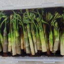 두지숲농원