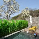 예스목욕탕 | [경북] 포항 카페 세븐데이즈어위크 (feat.신광원탕)