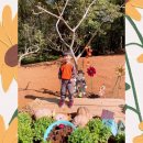 토실토실 2농장 이미지