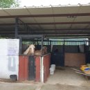 연천승마공원 | [승마] 연천승마공원 전국민 말타기 체험1