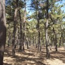 아이리스 스테이모텔 이미지