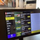 불패양꼬치