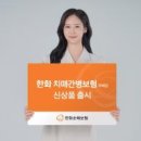 주식회사 금호여행 이미지