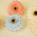 일광세탁 이미지