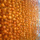 회인농장 이미지