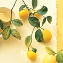 작은어촌 이미지