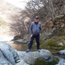 비지1리 이미지