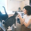 스토리아지트 네이버블로그