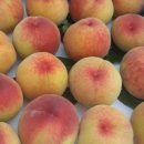 금봉 농장 이미지