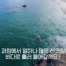 여름 필수품 선크림이 하와이 산호초 초토화시킨 이유 이미지