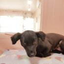 러블리멍 이미지