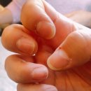 올 네일(All Nail)