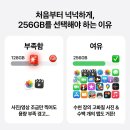 애플유통 | 아이폰 17 256GB 화이트 실사용 후기! 애플 공식 브랜드스토어 가격 혜택