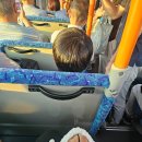 두레공원 육교 하부 | [202508] 나고야미