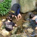 용인대 늘품 태권도 이미지