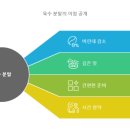 멸치국수 이미지
