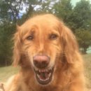 백현중학교 뒤 이미지