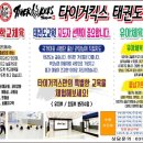 타이거킥스 태권도장 이미지
