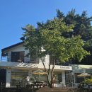 곡성-266 | (내돈내산) 광주 무등산 자락에 위치한 마당 넓은 카페 <카페얼씨>