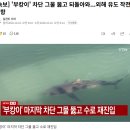 [속보] '부캉이' 차단 그물 뚫고 되돌아와...외해 유도 작전 난항 이미지