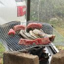 스테이복 이미지