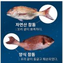 장흥상회 이미지