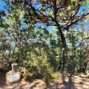 영화캡슐 이미지