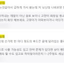 한수24시동물병원 이미지