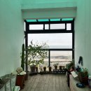 세화 엘라 | 제주도 구좌 숙소 후기 &lt;세화엘라&gt;👍🏻 제주 3인 숙소