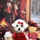 댕그랑댕 이미지