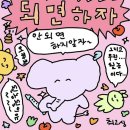 미스터돈 이미지