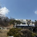 (주)코스모스 | 애견놀이터가 있는 이천 브런치 <카페코스모스> 피자랑 파스타 먹고왔어요