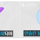 저스트병원 이미지