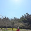 예래입구 이미지