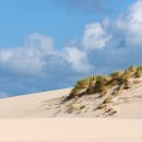 모래언덕 이미지