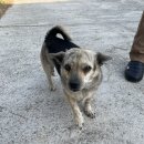 개도사랑펜션 이미지