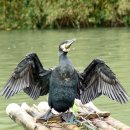 우산공원3 이미지