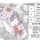박*자 이미지