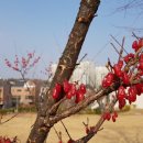 운정체육공원 이미지