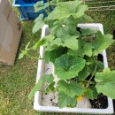 선진주유소 이미지